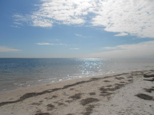 Beach in Florida where my brother lives.