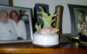 Vermilion-20121220-00173