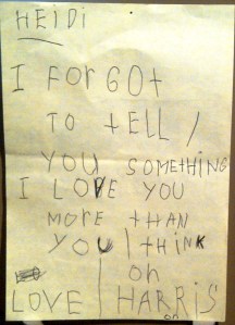 Vermilion-20121223-00187