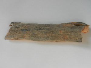 The bark Bill gave me.