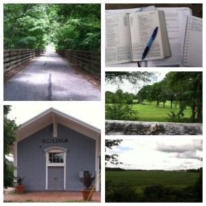 Scenes from the Kipton Trail