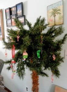 My Christmas palm tree.