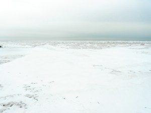 Frozen Lake Erie