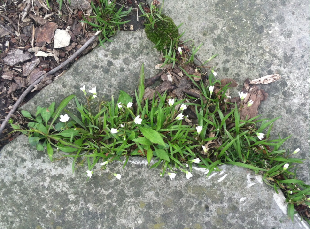 Life in the Broken Places