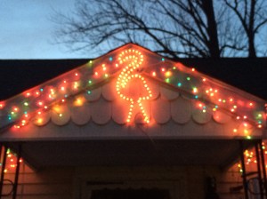 Love my pink flamingo