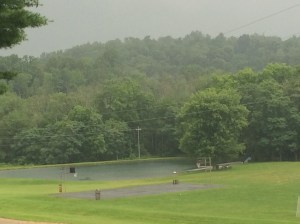 Mist in the trees after the rain. Sun was trying to come out.