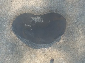 You find what you are looking for!