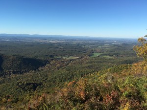 The leaves changing colors.