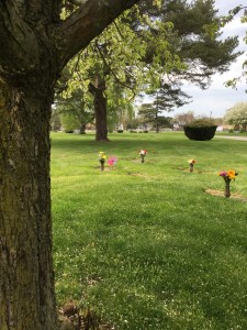 Sitting on the bench