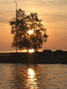 Got up one morning to watch the sunrise (I'm a sunset type of gal)