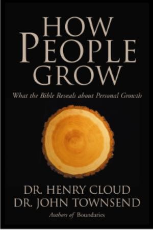 yhst-20550167876698_2167_8150648