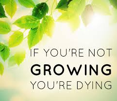 if-youre-not-growing